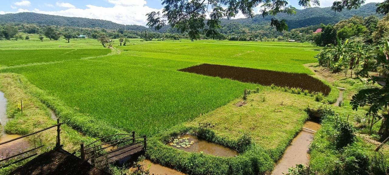 Kaewma Farmstay Khuang Kom Ngoại thất bức ảnh