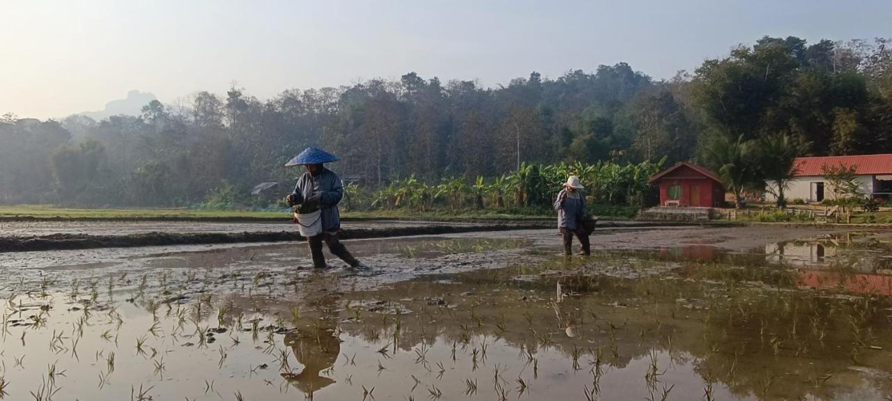 Kaewma Farmstay Khuang Kom Ngoại thất bức ảnh