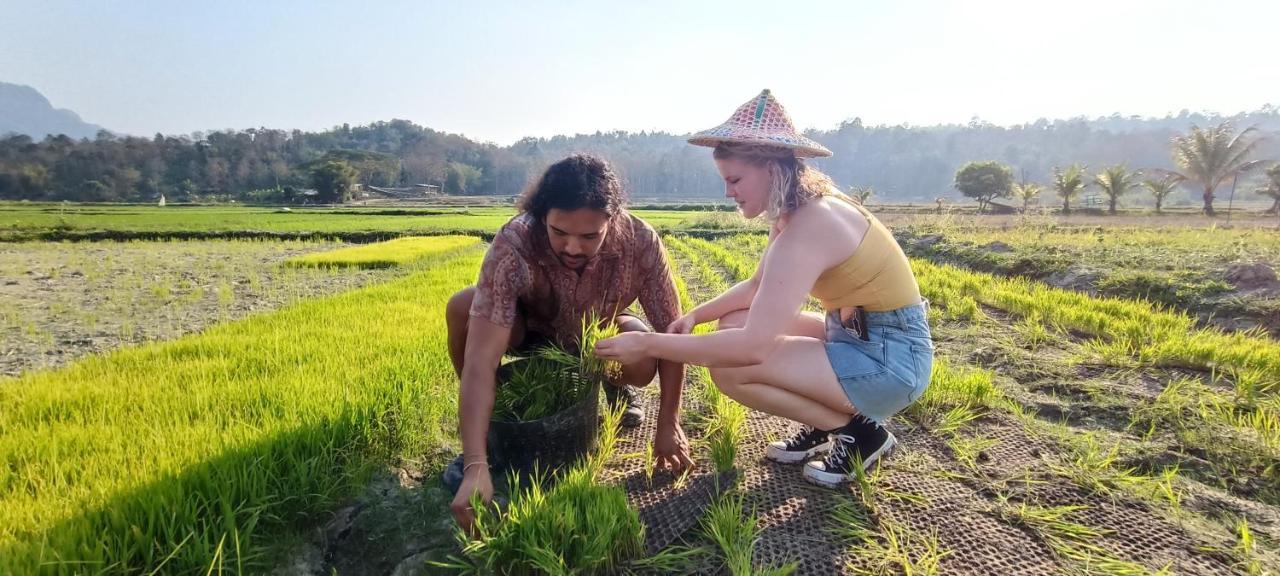 Kaewma Farmstay Khuang Kom Ngoại thất bức ảnh