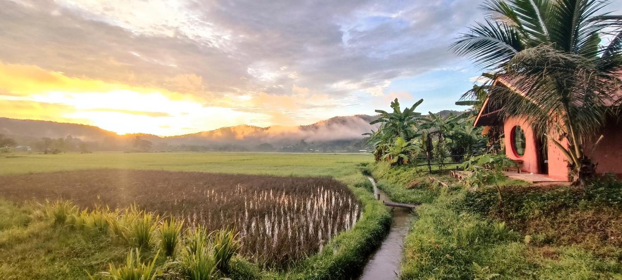 Kaewma Farmstay Khuang Kom Phòng bức ảnh